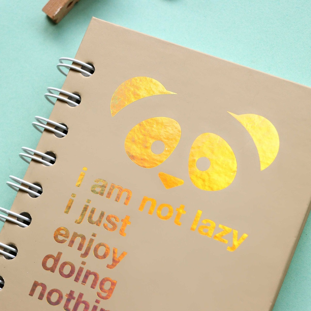 Lazy Panda Pastel Notebook