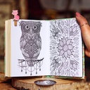 Lazy Owl  | Pocket Notebook